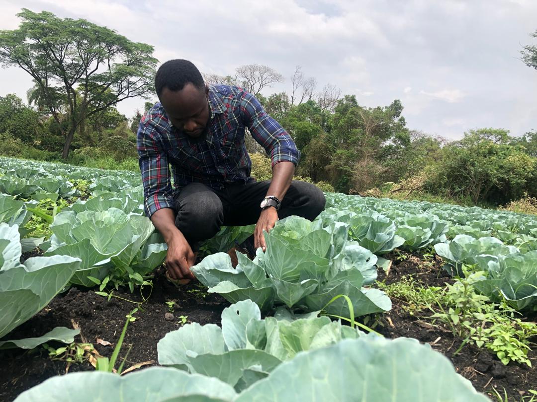 FEMBI Agri Support in the field