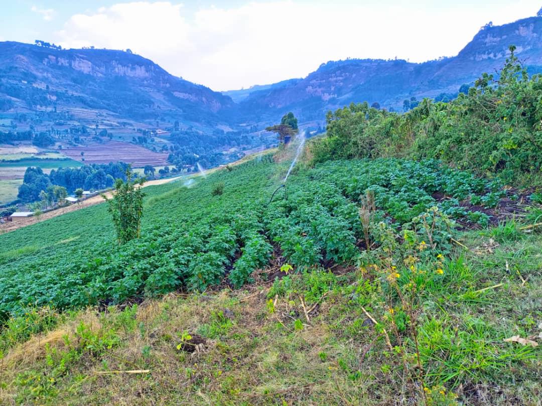 FEMBI Agri Support in the field