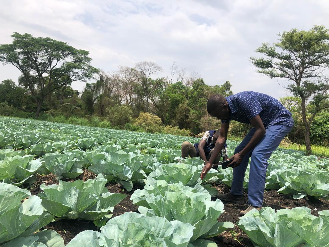 Climate-Smart Agriculture