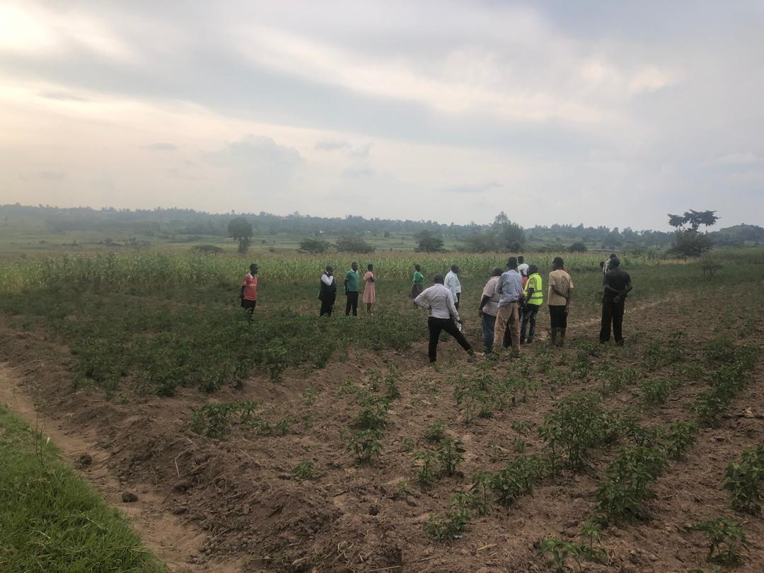 FEMBI Agri Support in the field