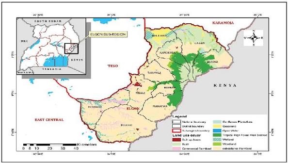 The Mount Elgon farming landscape