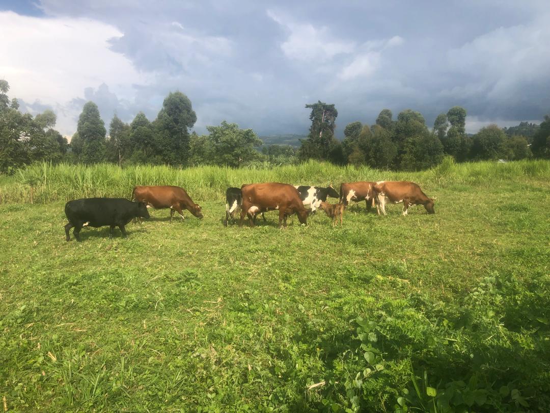 FEMBI Agri Support in the field