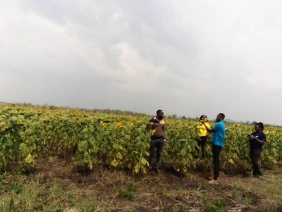 FEMBI Agri Support in the field