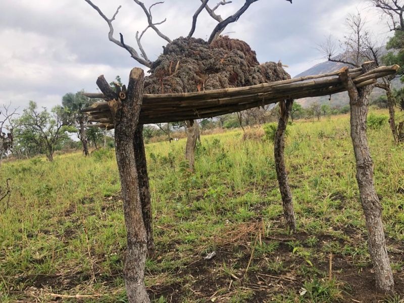 FEMBI Agri Support in the field