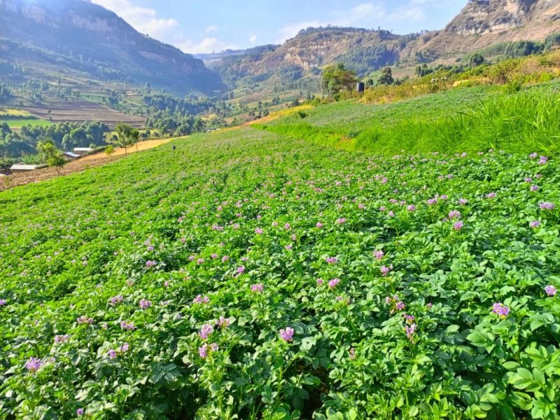 FEMBI Agri Support in the field