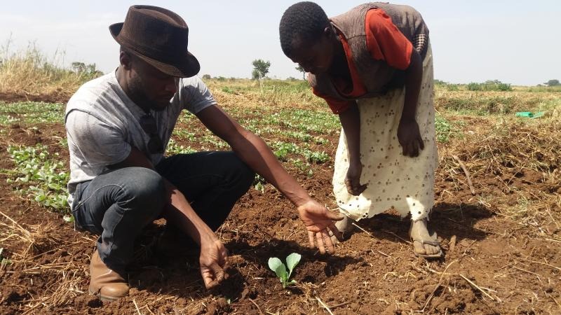 FEMBI activities in Sironko district