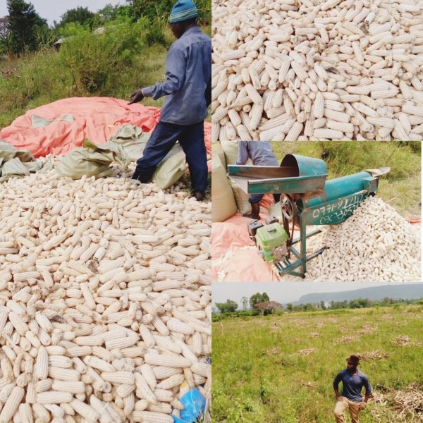 FEMBI Agri Support in the field