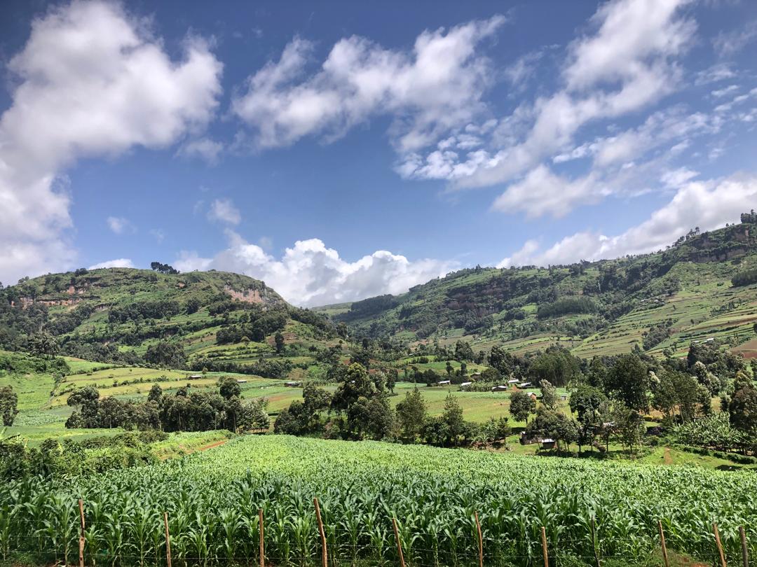 FEMBI Agri Support in the field
