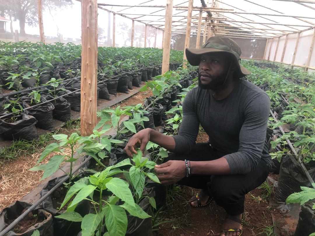 A smallholder farmer tending crops in the Mount Elgon highlands
