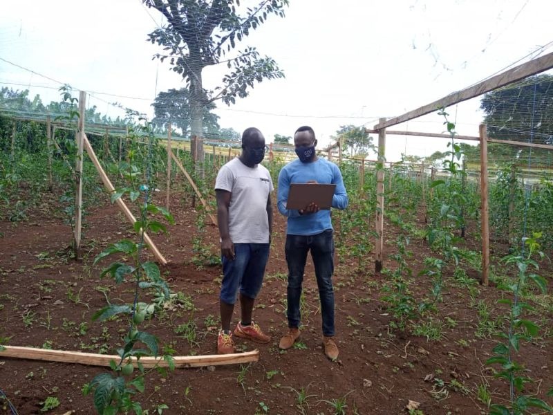 Agri-Innovation & Technology