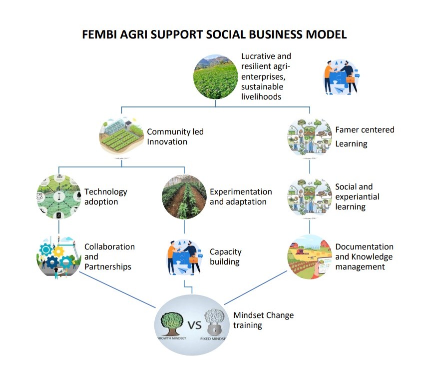 FEMBI's farmer-centered model